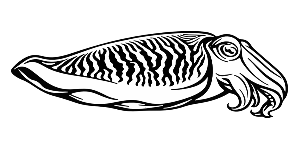 Agent Cuttlefish